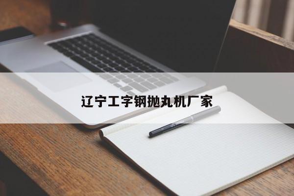 辽宁工字钢抛丸机厂家