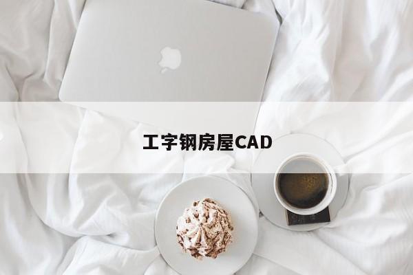 工字钢房屋CAD